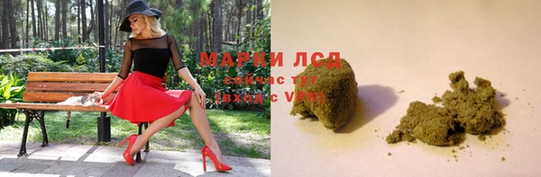 мдпв Дмитриев