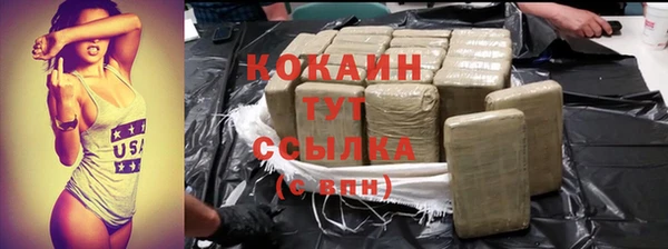 прущие грибы Дмитровск