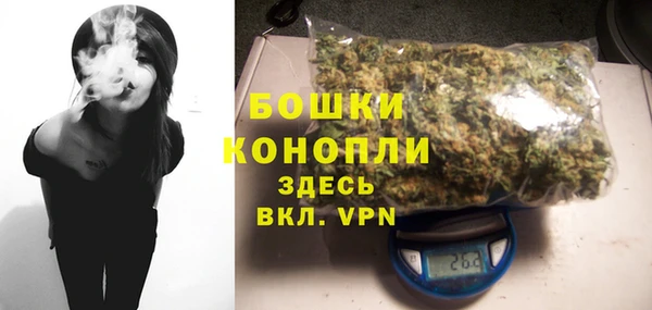 мдпв Дмитриев