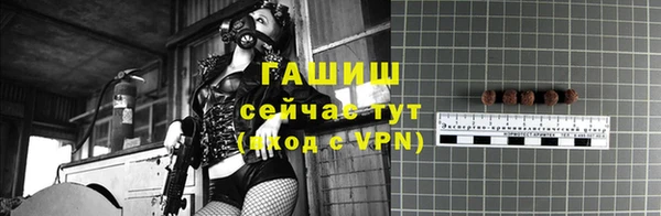 прущие грибы Дмитровск