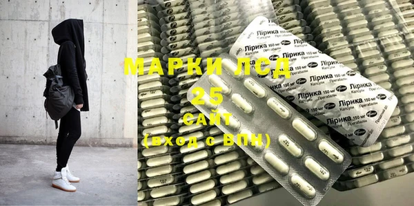 прущие грибы Дмитровск