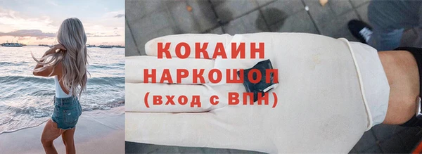 прущие грибы Дмитровск