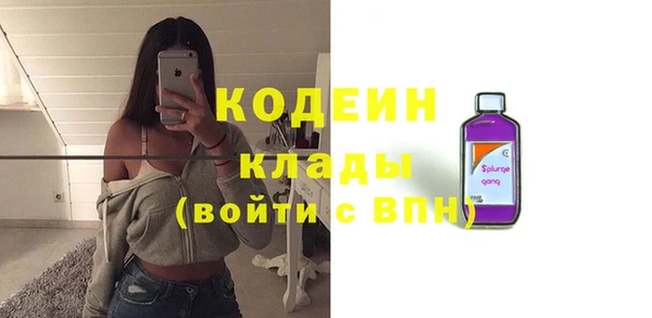 прущие грибы Дмитровск