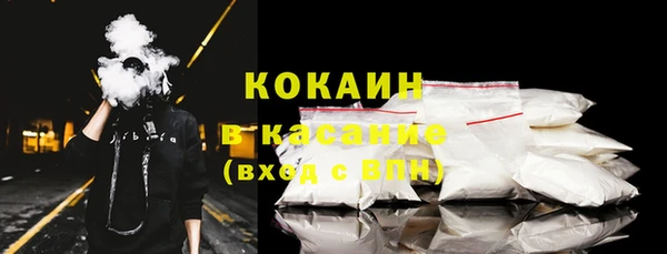 мдпв Дмитриев
