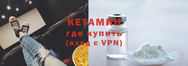 прущие грибы Дмитровск