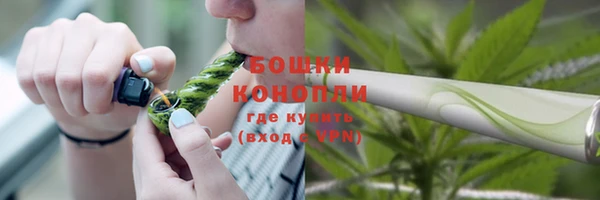 дмт Гусь-Хрустальный