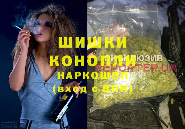 мдпв Дмитриев