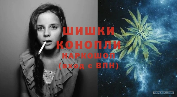 прущие грибы Дмитровск