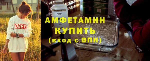 прущие грибы Дмитровск