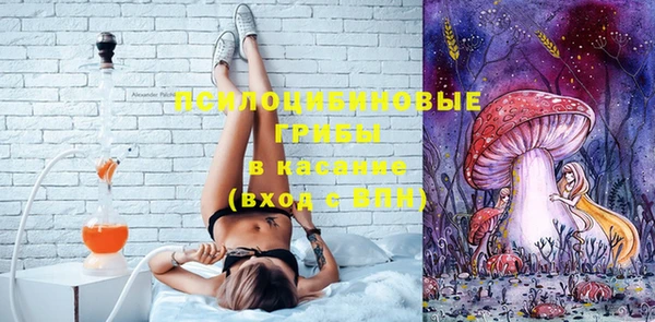 прущие грибы Дмитровск