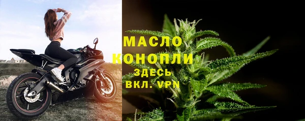 прущие грибы Дмитровск